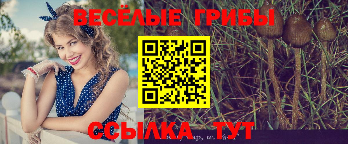 Галлюциногенные грибы Magic Shrooms  Вход с VPN  Артём 
